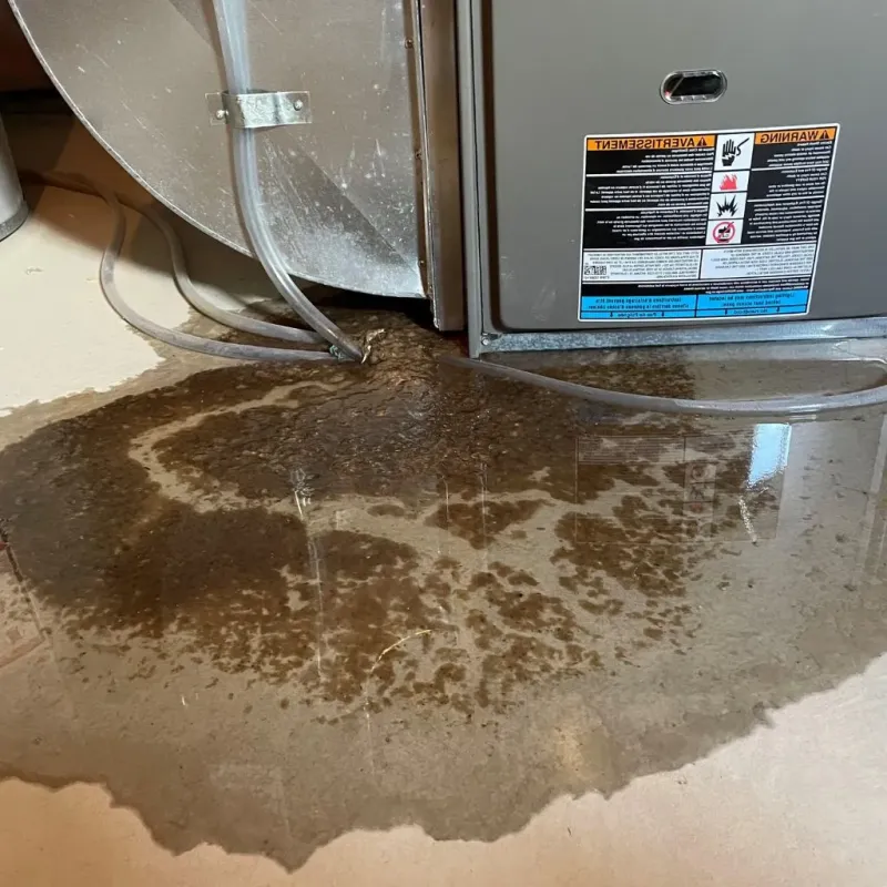 Pipe Burst and Leak Restoration in Wisconsin Rapids, WI